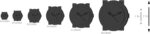 Casio W217H Series | Men’s Digital Watch | 50M WR | 1/100 Second Stopwatch | LED Backlight | Countdown Timer | 100 SEC Chronograph | Daily Alarm | Hourly Time Signal | 7 Year Battery - Image 4