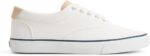 Sperry Mens Helm CVO Canvas Sneaker - Image 2