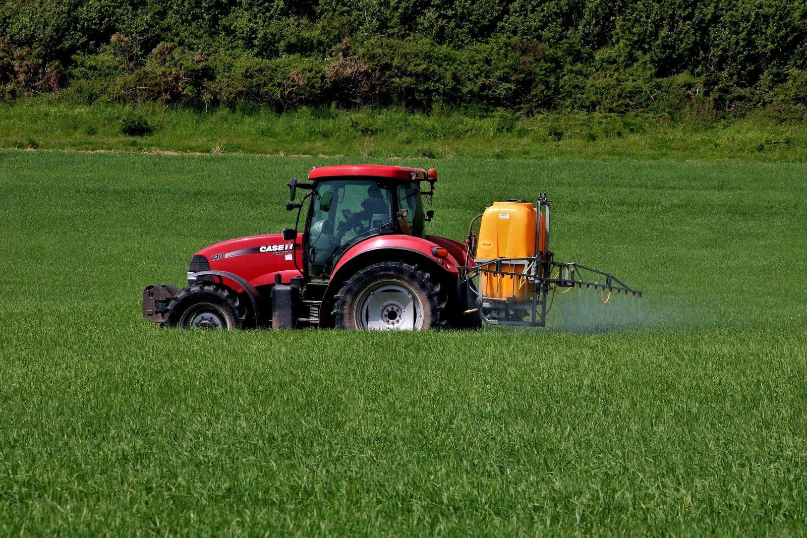 Around 350,000 tonnes of pesticides were sold in the EU annually between 2011-2020 (Photo: Pixabay)