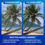 Blenders Eyewear H Series – Polarized Sunglasses – Round Cat Eye, Spring Loaded Hinge – 100% UV Protection – For Women - Image 2