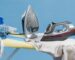 The Best Clothing Iron