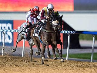 Dubai World Cup 2026 – Everything you need to know