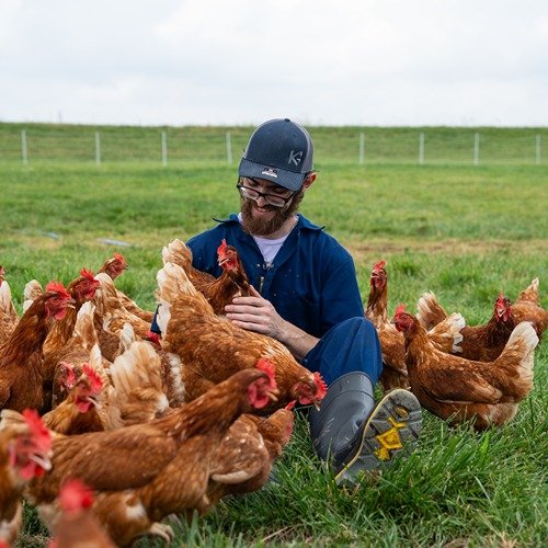 Jared Trask sits with brown and white chickens in a grass field
