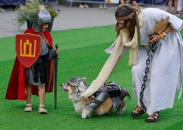 Corgi wearing a plastic armour and hat standing next to a boy dressed a knight and a woman in a white gown