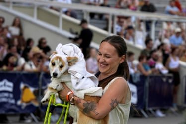 Corgi wrapped in a white towel being carried by a laughing woman