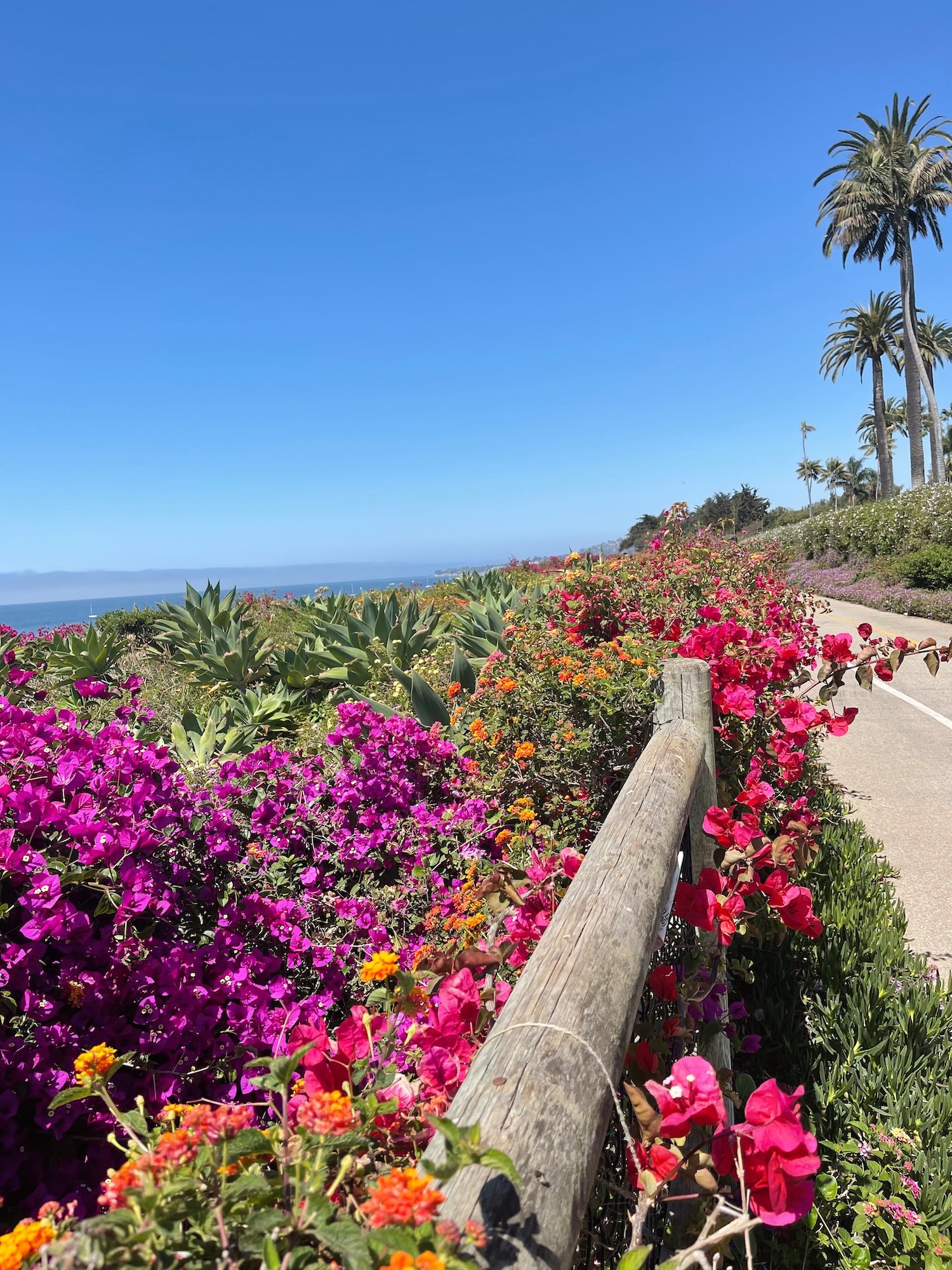 An Insider’s Guide to Santa Barbara: Where Wellness Meets Effortless Style