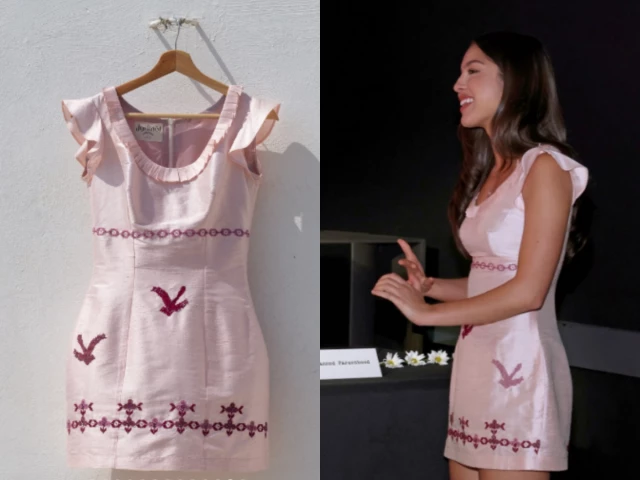 Nöl Collective founder reveals how Olivia Rodrigo’s pink dress helped Palestinian fashion brand survive | The Express Tribune