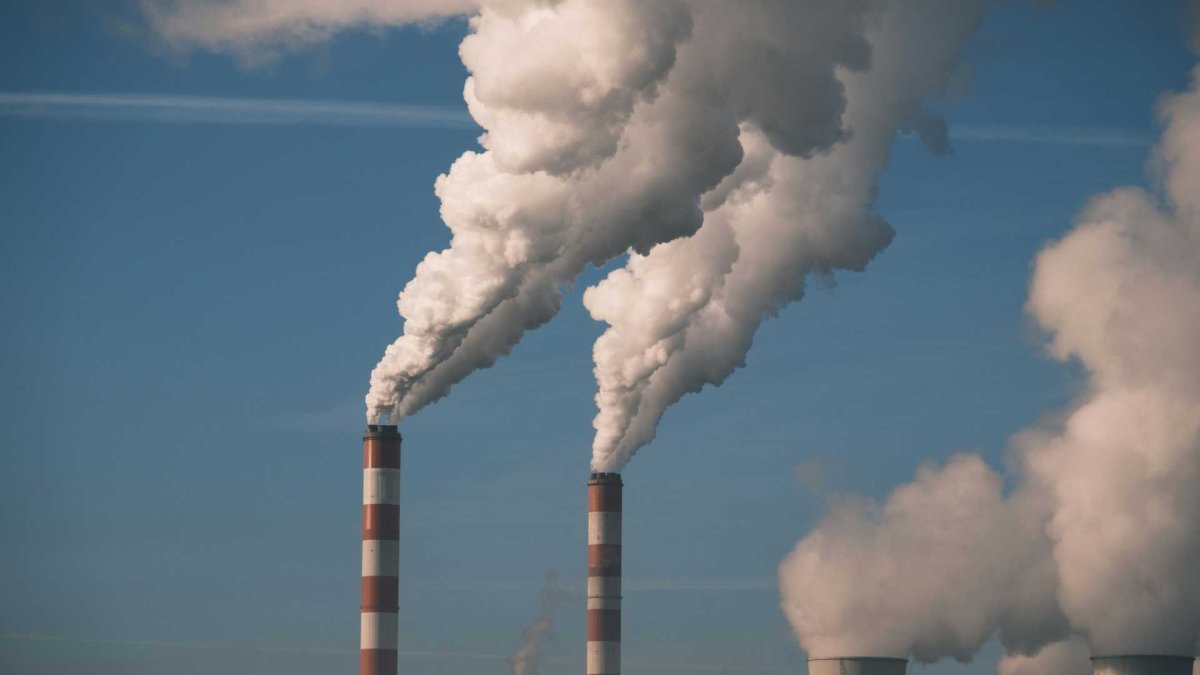 Rising Tide: Fashion Sees 14% Increase in Emissions, Says Apparel Impact Institute - Modaes Global