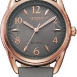 CITIZEN Ladies' Eco-Drive Classic Eco 30mm Stainless Steel FE1218-05H